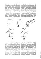 giornale/UM10003065/1933/unico/00000710