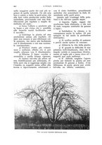 giornale/UM10003065/1933/unico/00000714