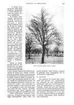 giornale/UM10003065/1933/unico/00000715