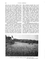 giornale/UM10003065/1933/unico/00000730