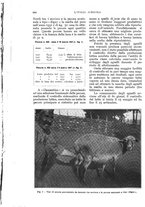 giornale/UM10003065/1933/unico/00000736