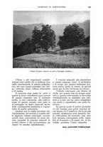 giornale/UM10003065/1933/unico/00000745