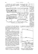 giornale/UM10003065/1933/unico/00000886