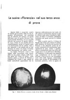 giornale/UM10003065/1933/unico/00000895