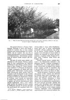 giornale/UM10003065/1933/unico/00000897