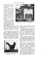 giornale/UM10003065/1933/unico/00000921