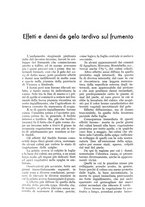 giornale/UM10003065/1933/unico/00000928