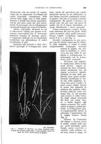 giornale/UM10003065/1933/unico/00000929