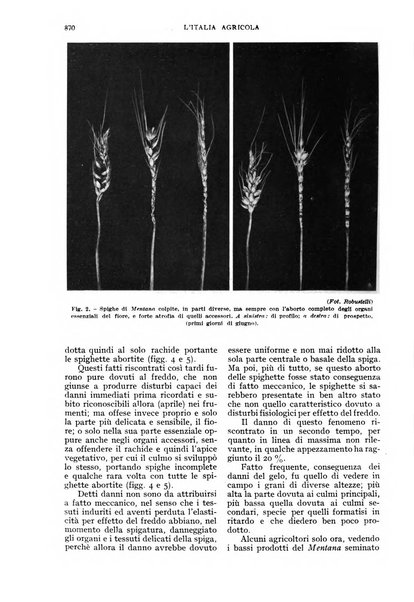 L'Italia agricola