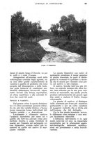 giornale/UM10003065/1933/unico/00001059