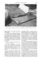 giornale/UM10003065/1933/unico/00001067