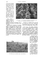 giornale/UM10003065/1933/unico/00001072