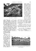 giornale/UM10003065/1933/unico/00001073