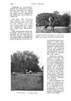 giornale/UM10003065/1933/unico/00001076