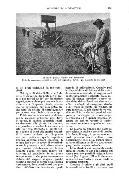 L'Italia agricola