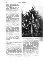 giornale/UM10003065/1933/unico/00001194