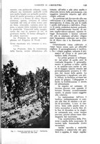 giornale/UM10003065/1933/unico/00001195