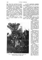 giornale/UM10003065/1933/unico/00001198