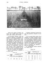 giornale/UM10003065/1933/unico/00001254