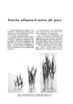 giornale/UM10003065/1934/unico/00000057