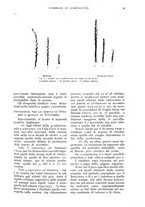 giornale/UM10003065/1934/unico/00000061