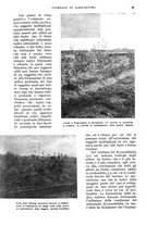 giornale/UM10003065/1934/unico/00000067
