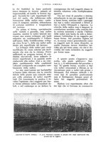 giornale/UM10003065/1934/unico/00000068