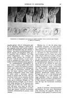 giornale/UM10003065/1934/unico/00000073