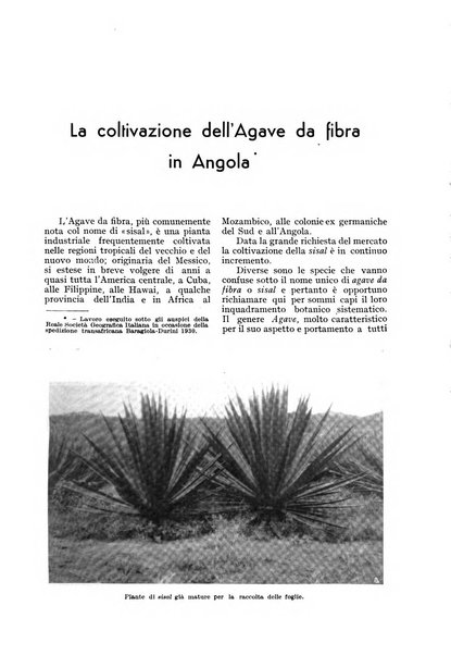 L'Italia agricola