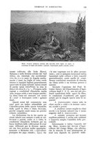 giornale/UM10003065/1934/unico/00000133