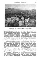 giornale/UM10003065/1934/unico/00000135
