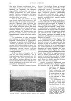 giornale/UM10003065/1934/unico/00000160