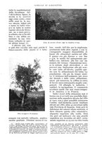 giornale/UM10003065/1934/unico/00000161
