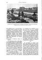 giornale/UM10003065/1934/unico/00000256