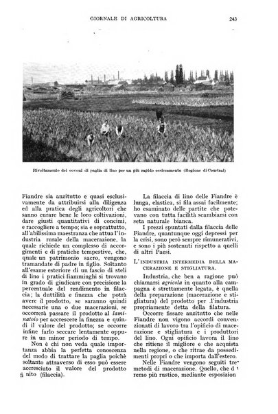 L'Italia agricola