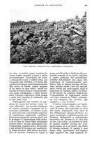 giornale/UM10003065/1934/unico/00000305