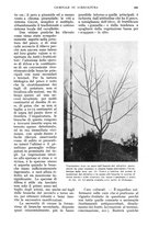 giornale/UM10003065/1934/unico/00000307