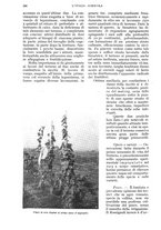 giornale/UM10003065/1934/unico/00000308