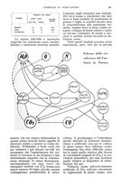 giornale/UM10003065/1934/unico/00000413