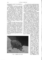 giornale/UM10003065/1934/unico/00000432