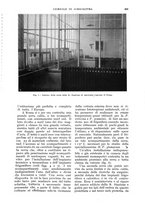 giornale/UM10003065/1934/unico/00000481