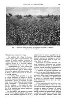 giornale/UM10003065/1934/unico/00000489