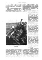 giornale/UM10003065/1934/unico/00000544