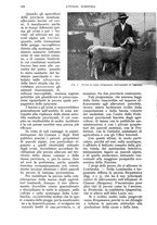 giornale/UM10003065/1934/unico/00000566