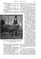 giornale/UM10003065/1934/unico/00000569