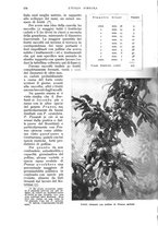 giornale/UM10003065/1934/unico/00000600