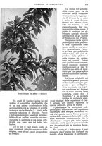 giornale/UM10003065/1934/unico/00000601