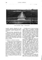 giornale/UM10003065/1934/unico/00000636