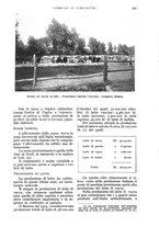 giornale/UM10003065/1934/unico/00000659