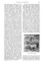 giornale/UM10003065/1934/unico/00000687